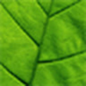 Meet your Posher, Bob